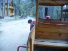thumbs/pict0975.jpg