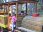 thumbs/pict0971.jpg