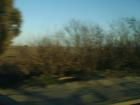 thumbs/pict0275.jpg