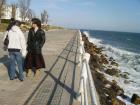 thumbs/pict0347.jpg