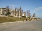 thumbs/pict0348.jpg