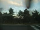 thumbs/pict0393.jpg