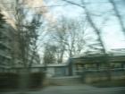thumbs/pict0411.jpg