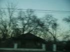 thumbs/pict0438.jpg