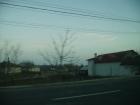 thumbs/pict0444.jpg
