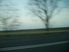 thumbs/pict0447.jpg