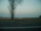 thumbs/pict0452.jpg