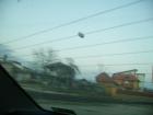 thumbs/pict0463.jpg