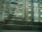 thumbs/pict0465.jpg