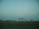 thumbs/pict0480.jpg