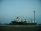 thumbs/pict0486.jpg