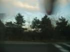 thumbs/pict0393.jpg