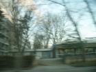 thumbs/pict0411.jpg