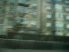 thumbs/pict0465.jpg