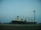 thumbs/pict0486.jpg