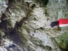 thumbs/PICT1313.jpg