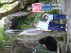 thumbs/PICT1318.jpg