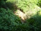 thumbs/PICT1327.jpg