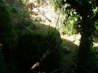 thumbs/PICT1337.jpg