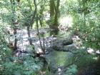 thumbs/PICT1343.jpg