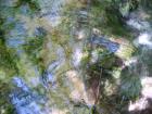 thumbs/PICT1348.jpg