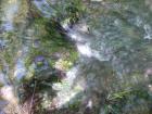 thumbs/PICT1349.jpg