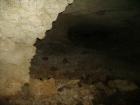 thumbs/PICT1364.jpg