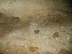 thumbs/PICT1368.jpg