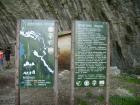 thumbs/PICT1391.jpg