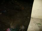 thumbs/PICT1392.jpg