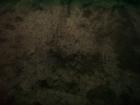 thumbs/PICT1402.jpg