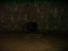 thumbs/PICT1403.jpg