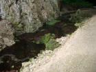 thumbs/PICT1423.jpg