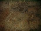 thumbs/PICT1440.jpg