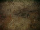 thumbs/PICT1441.jpg