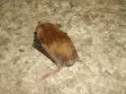 thumbs/PICT1449.jpg