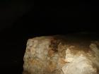 thumbs/PICT1460.jpg