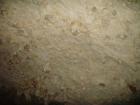 thumbs/PICT1468.jpg