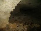 thumbs/PICT1364.jpg