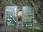 thumbs/PICT1391.jpg