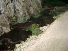 thumbs/PICT1423.jpg