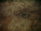 thumbs/PICT1441.jpg
