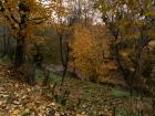 thumbs/pict0031.jpg