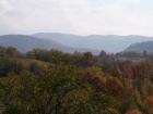 thumbs/pict0043.jpg