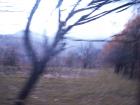 thumbs/pict0044.jpg