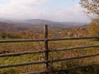 thumbs/pict0050.jpg