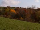 thumbs/pict0061.jpg