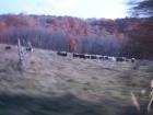 thumbs/pict0067.jpg