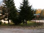 thumbs/pict0074.jpg