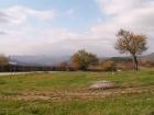 thumbs/pict0088.jpg